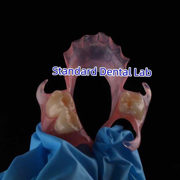 Standard Dental Lab Co., Limited productielijn van de fabrikant