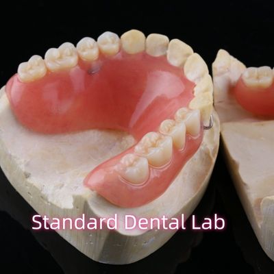 kopen Hoge esthetische acryl partiële tandheelkundige tandheelkundige hars tandheelkunde met basis online vervaardiging