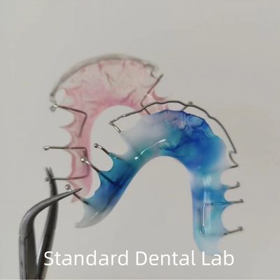 kopen Hawley Wrap rondom orthodontische retainer tandheelkundige acryl gehemelte online vervaardiging