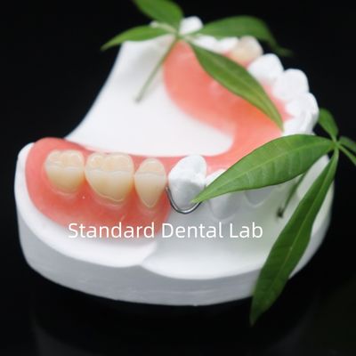 kopen Hoge esthetiek Dentsply Lucitone 199 Acrylprothese acrylhars voor protheses China Tandheelkundige laboratorium online vervaardiging