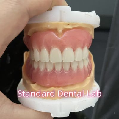 OEM standaard tandheelkundig laboratorium volledig verwijderbare gebit gemakkelijk in en uit te nemen