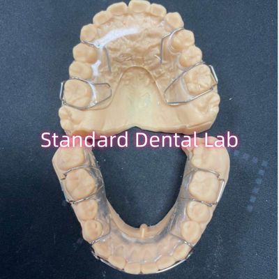 Professionele orthodontische retainer Acryl tandheelkundige Hawley retainer Adam Clamps