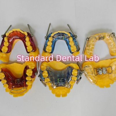 Tandheelkundige functionele orthodontische herfstapparatuur uit China tandheelkundig laboratorium