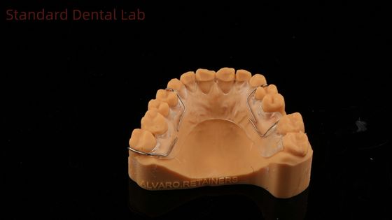 Perfecte pasvorm Duitsland Ortho Tanden Halley Retainer voor esthetiek en verstelbaarheid