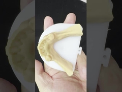 Metalen legeringen gedeeltelijk Cobalt Chroom Prothesen Ivoclar Scheftner Comfortabel Metalen Framewrok