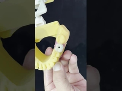 Porselein All On Four Zirconia brug hoge esthetiek tandheelkundige implantaten brug schroef behouden