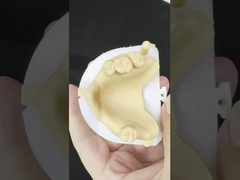 Metalen legeringen gedeeltelijk Cobalt Chroom Prothesen Ivoclar Scheftner Comfortabel Metalen Framewrok